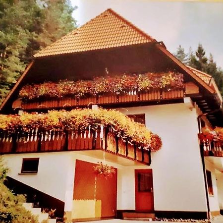 Ferienwohungen Im Kuchersbach Hornberg Ngoại thất bức ảnh
