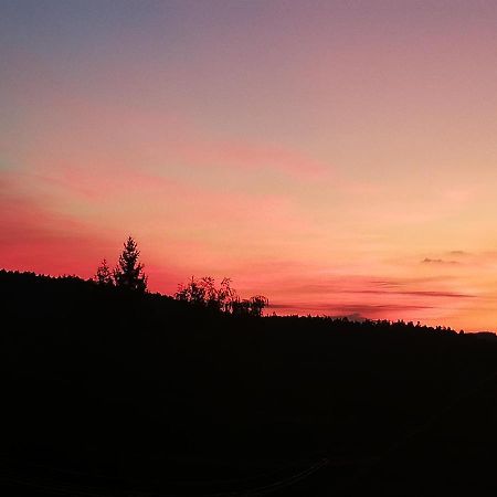 Ferienwohungen Im Kuchersbach Hornberg Ngoại thất bức ảnh