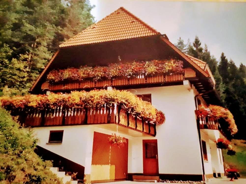 Ferienwohungen Im Kuchersbach Hornberg Ngoại thất bức ảnh