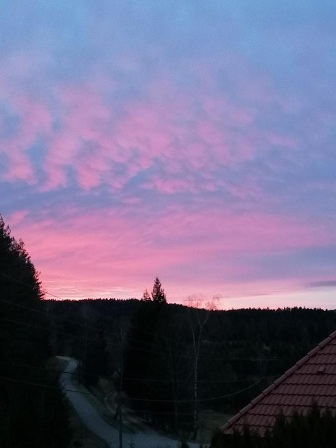 Ferienwohungen Im Kuchersbach Hornberg Ngoại thất bức ảnh