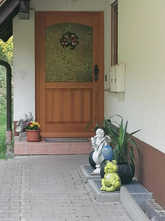 Ferienwohungen Im Kuchersbach Hornberg Ngoại thất bức ảnh