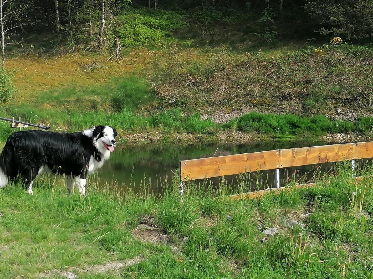 Ferienwohungen Im Kuchersbach Hornberg Ngoại thất bức ảnh