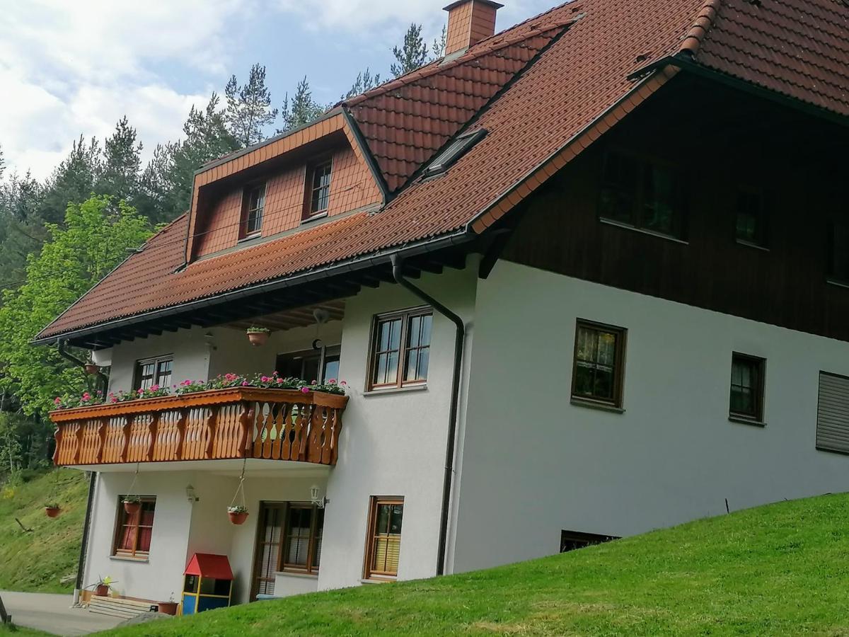 Ferienwohungen Im Kuchersbach Hornberg Ngoại thất bức ảnh