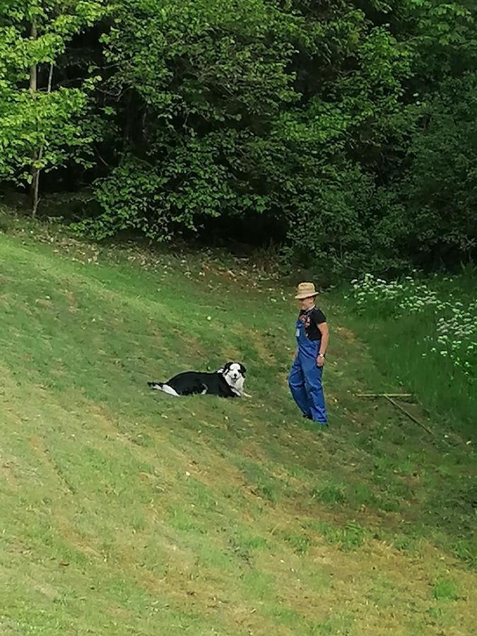 Ferienwohungen Im Kuchersbach Hornberg Ngoại thất bức ảnh