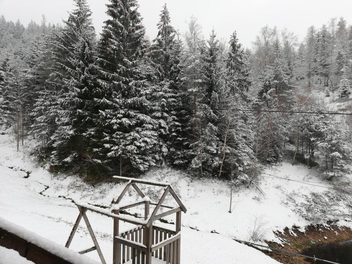 Ferienwohungen Im Kuchersbach Hornberg Ngoại thất bức ảnh