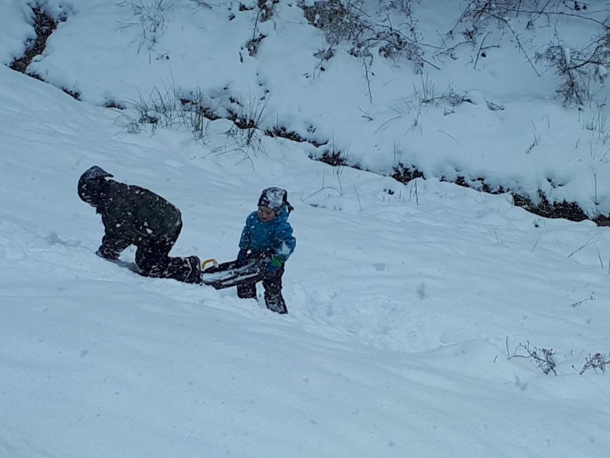 Ferienwohungen Im Kuchersbach Hornberg Ngoại thất bức ảnh