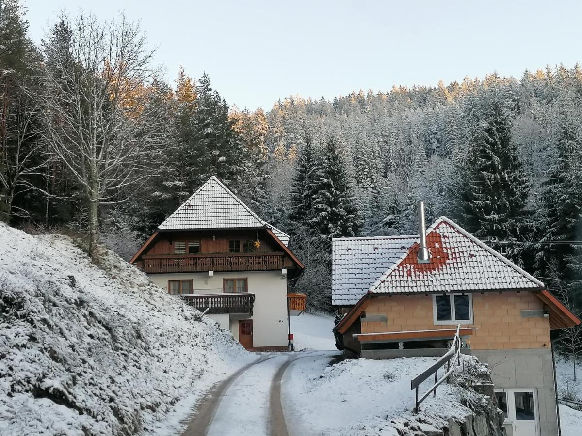 Ferienwohungen Im Kuchersbach Hornberg Ngoại thất bức ảnh