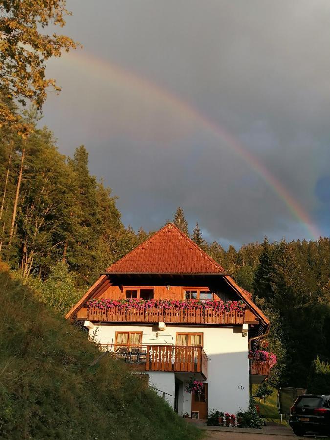 Ferienwohungen Im Kuchersbach Hornberg Ngoại thất bức ảnh